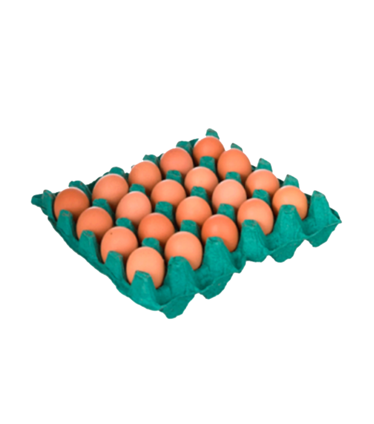 imagem de Ovos Granja Santana Vermelhos Pente Embalado C/20