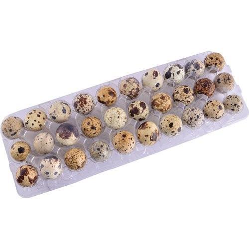 imagem de Ovos De Codorna Bandeija Asa Com 30