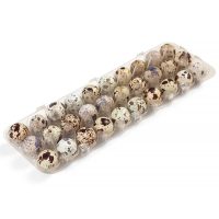 imagem de Ovos De Codorna Santa Maria Com 30